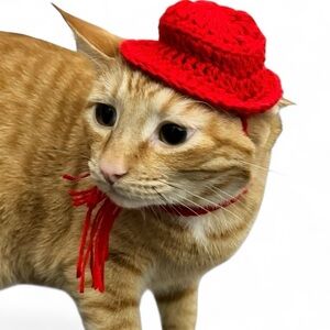 Winter Cat Hat & Scarf
